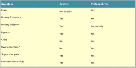 Patho Renal Flashcards Quizlet