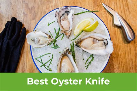 Best Oyster Knife Of 2021 Complete Reviews With Buying Guide