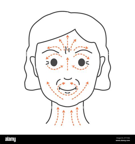 Diy Face Lifting Sculpting Massage Lines Illustration Stock Vector