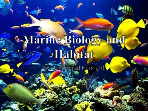 Ppt Marine Biology And Habitat Powerpoint Presentation Free Download