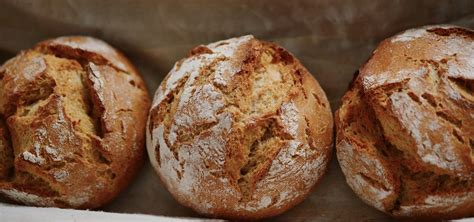 Glutenfreie Brötchen Einfaches Rezept zum Selbermachen Utopia de