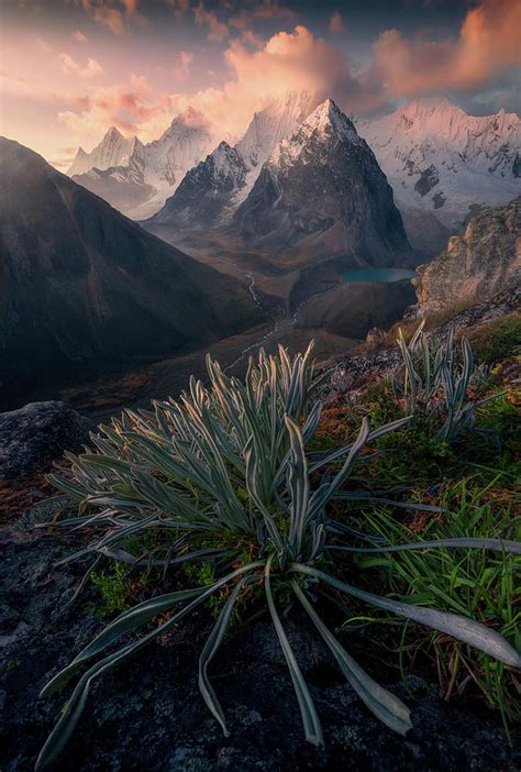 Mountain Roots Photograph By Max Rive Fine Art America