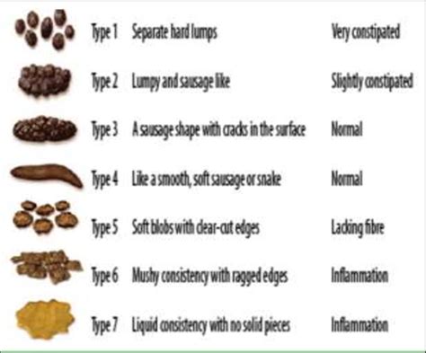 Bristol Stool Chart Download Scientific Diagram