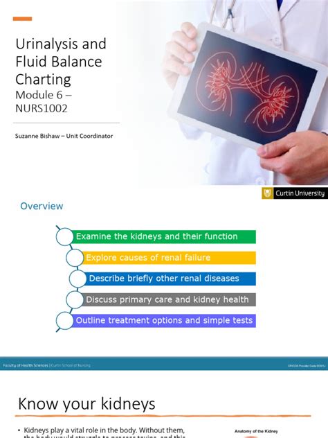 Urinalysis and Fluid Balance | PDF | Kidney | Kidney Disease