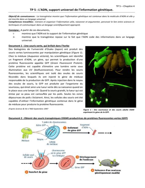 TP 5 L ADN support universel de l information génétique