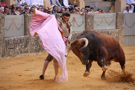 Morante De La Puebla Jos Mar A Manzanares Y Roca Rey Torear N En La