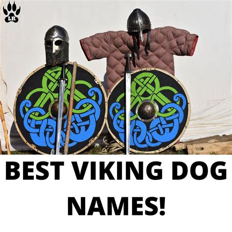 150+ of the Best Viking Dog Name's | Labrottie.com