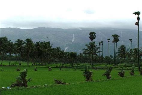 Kollengode - Just Kerala