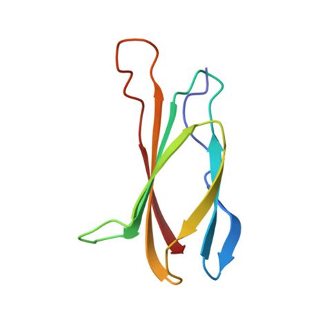 Rcsb Pdb Ttg The Three Dimensional Structure Of The Tenth Type Iii