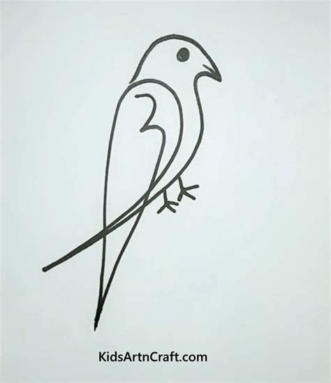 Learn to Make Easy Bird Drawings in Simple Steps | Bird drawings ...