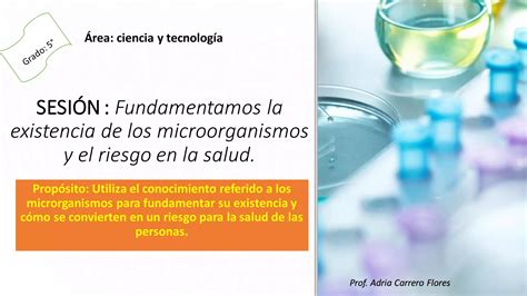 Microorganismos Y Salud Ppt