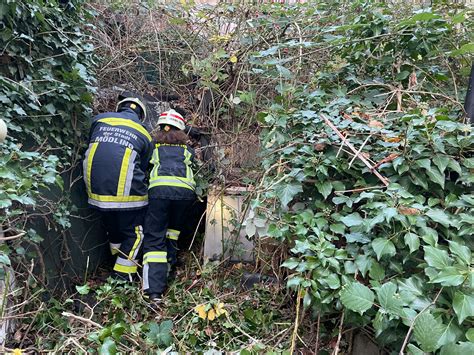 Feuerwehr Rettet Hund Aus Notlage Feuerwehr Objektiv