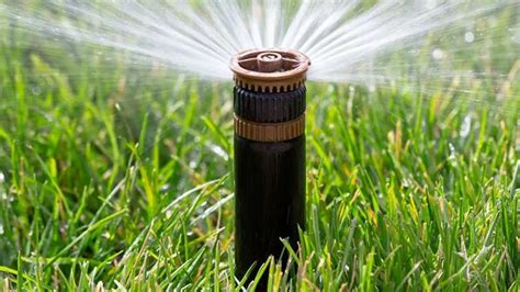 Best Garden And Lawn Sprinklers Mirror Online