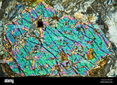 Mineral Microscope Slide Section Of Kentallenite Rock Using Cross