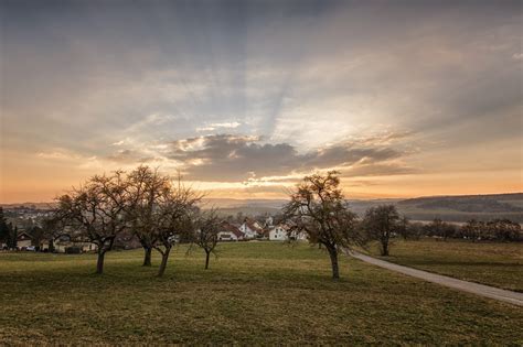 Free Images Landscape Tree Nature Grass Outdoor Horizon Cloud