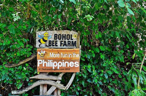 The Bohol Bee Farm