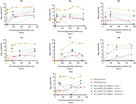 Frontiers Comparison Of Two RT QPCR Methods Targeting BK Polyomavirus