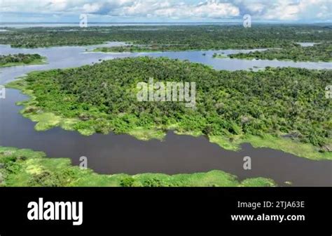 Amazon River At Amazon Rainforest The Biggest Tropical Rainforest Of