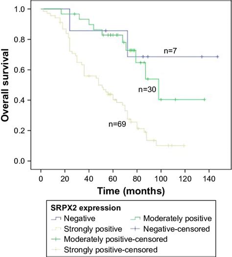 Kaplan Meier Survival Plot Notes High Levels Of Srpx2 Protein Download Scientific Diagram