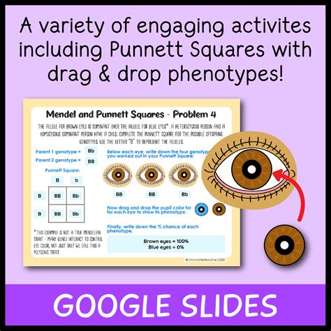 Mendel and Punnett Squares Lesson Bundle - Emmatheteachie