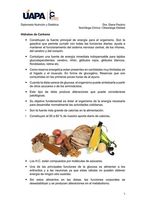 Metabolismo De Los Hidratos De Carbono Pdf