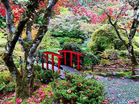 The Butchart Gardens In Fall The Most Beautiful Autumn Colors In Canada