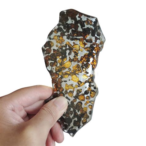 93 2g SERICHO Pallasite Meteorite Slice Olive Meteorite Etsy