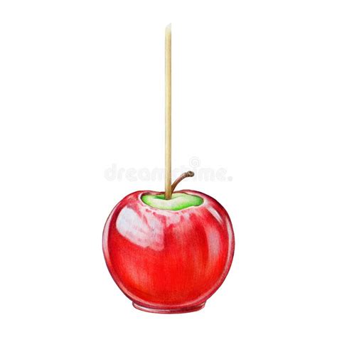 Candy Apple Illustration Stock Illustrations 5 667 Candy Apple