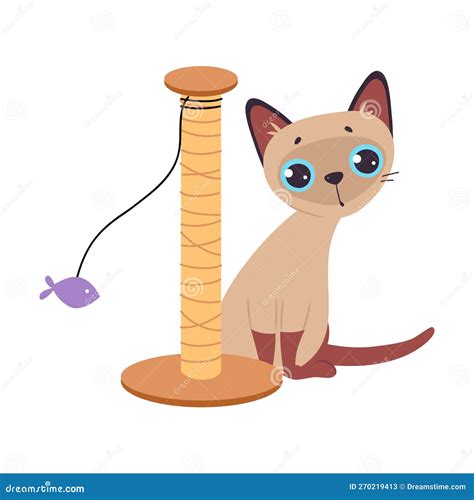 how to fish scratching cheap 2