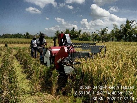 Atasi Kekurangan Tenaga Panen Petani Bali Optimalkan Alsintan