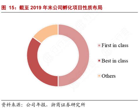 我想了解一下截至2019年末公司孵化项目性质布局具体情况如何行行查行业研究数据库