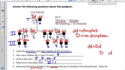 Introduction To Pedigrees Youtube