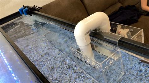 Diy Overflow Box Aquarium Discounted Price Gbu Presnenskij Ru