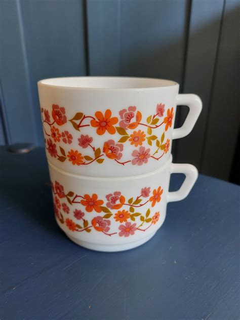 2 Large Arcopal Scania Coffee Cups Or Tea Cups 70s Flower Power Design