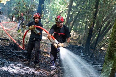 Incendie Ils ont sauvé la légendaire forêt de Brocéliande Vannes