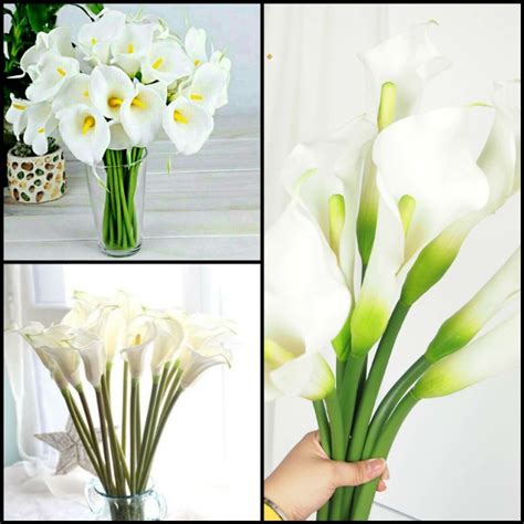 Jual Bunga Potong Calla Lily Murah Ikat Tangkai Shopee Indonesia