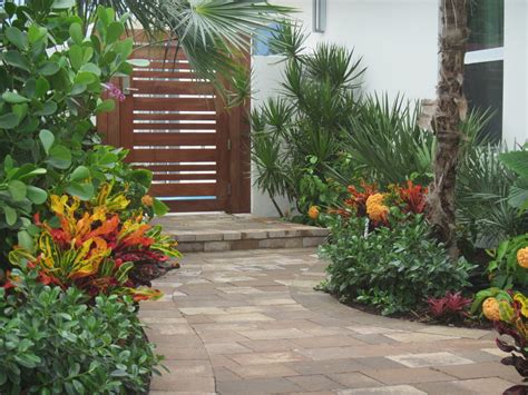 Front Yard Garden Entry Exotique Jardin Miami Par Matthew