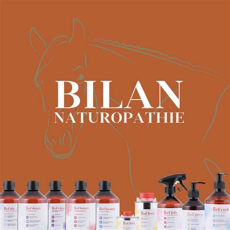 Bilan Naturopathie Quine O Beltan Les Soins Naturels