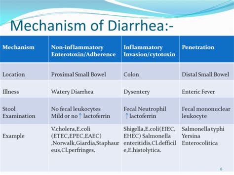 Microbiology Parasitic Gi Infections Q Pavia Flashcards Quizlet