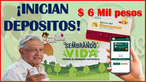 Programa Sembrando Vida Consulta Tu Saldo Ya Est N Depositando