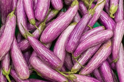 Purple Striped Eggplant Also Known Like Graffiti Purple Rain Shooting