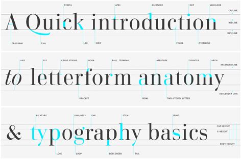 The Anatomy Of Letters Extended Major Project