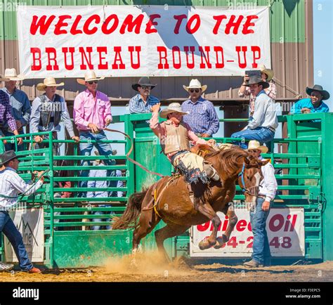 Rodeos Bruneau Round Up Saddle Bronc Riding Bruneau Idaho Usa