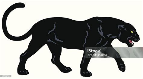 Black Panther向量圖形及更多黑豹圖片 黑豹 矢量圖 插圖 Istock