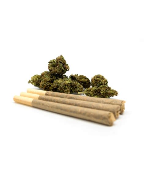 Cbd Pre Rolls Têtes De Cbd émiettées The Tree Cbd