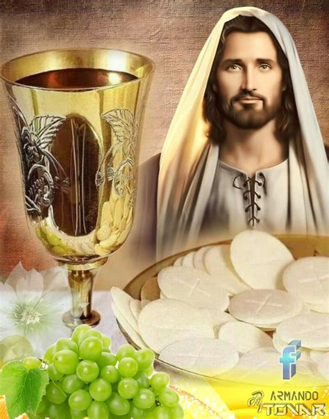 Jesus Sacramentado Jesus Eucaristia Eucarist A Jesus Eucaristia