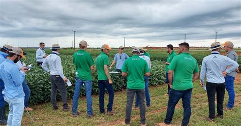 Equipe De Produ O Participa De Treinamento Em Inspe O De Campos De