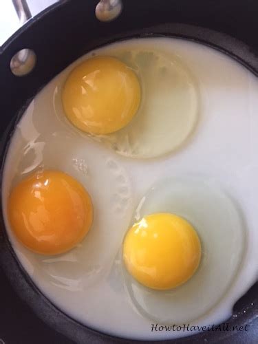 Differences In Egg Yolk Color How To Have It All