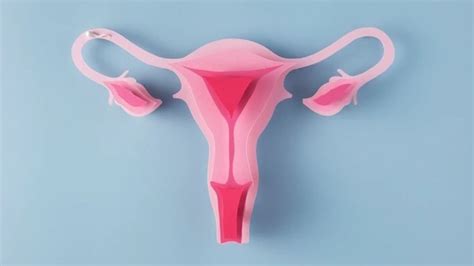 Ovarian Cysts Warning Signs Causes Types Treatment And All You Want