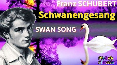 Franz Schubert Schwanengesang D Swan Song Serenade Hq